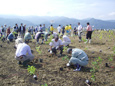 札幌ふるさとの森づくり植樹祭の様子
