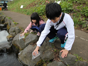 廃車買取キャンペーン